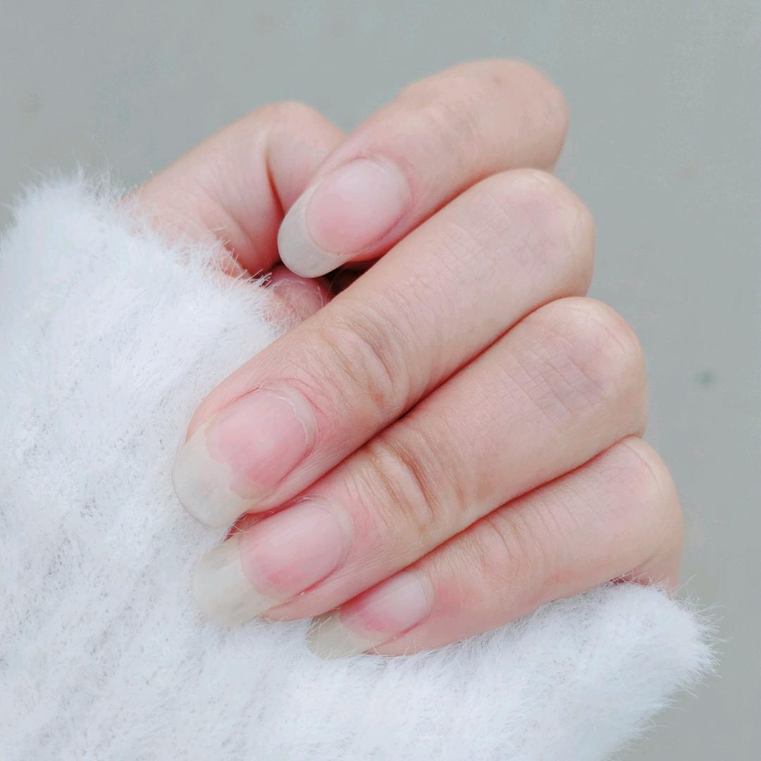 孟楠