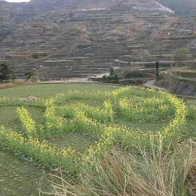 归零ʕ ᵔᴥᵔ ʔ