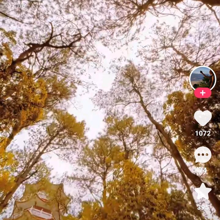 天地情怀