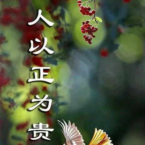 风风