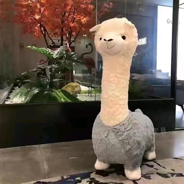 波波动画