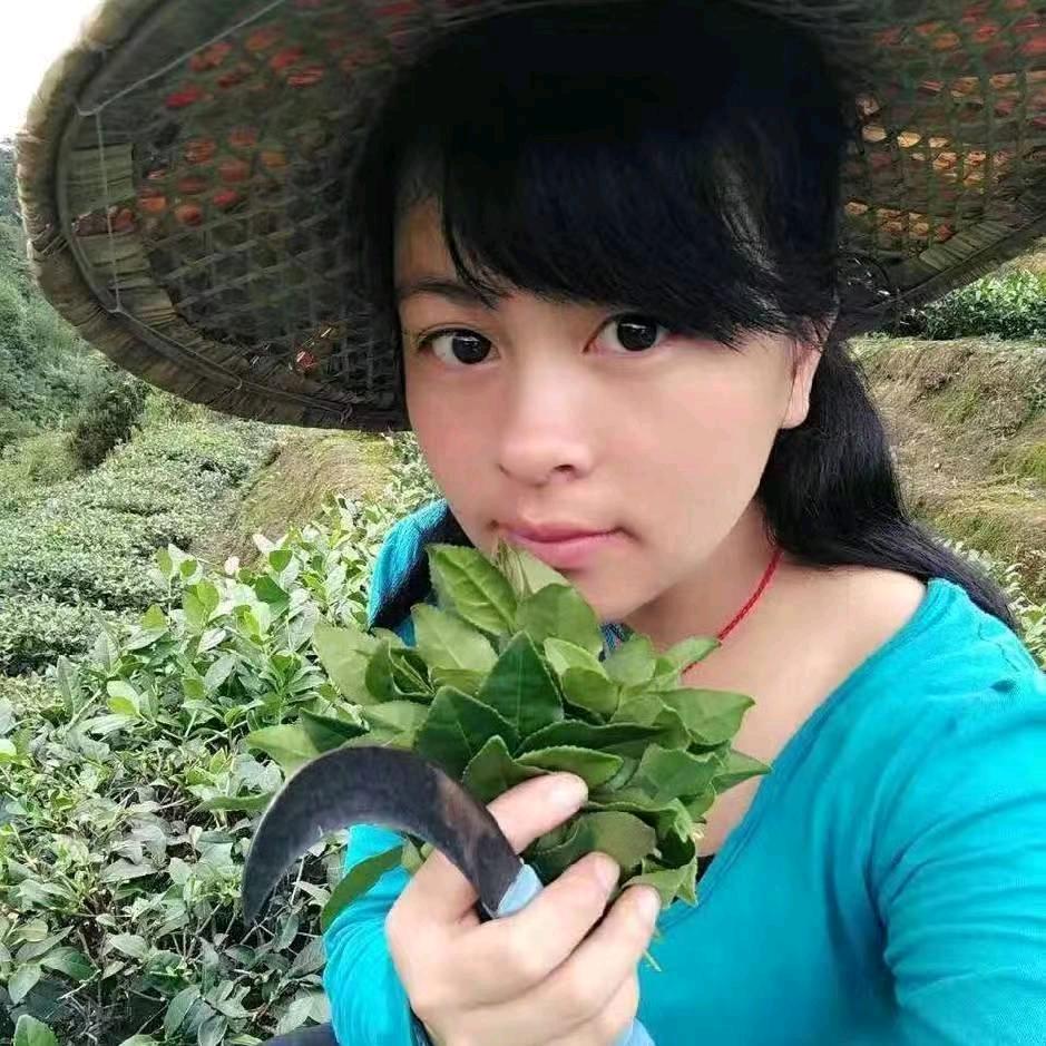 茶香山村