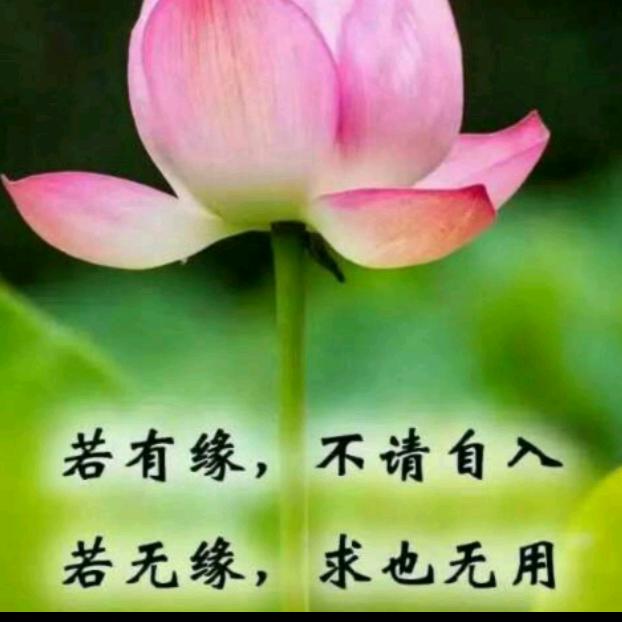 歌舞升平