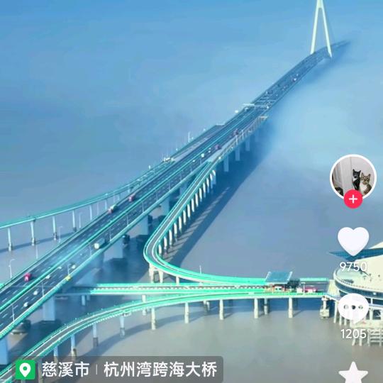 人在旅途zjcx