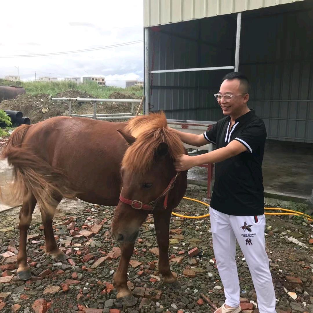 腊总，💰烽欢公司💰