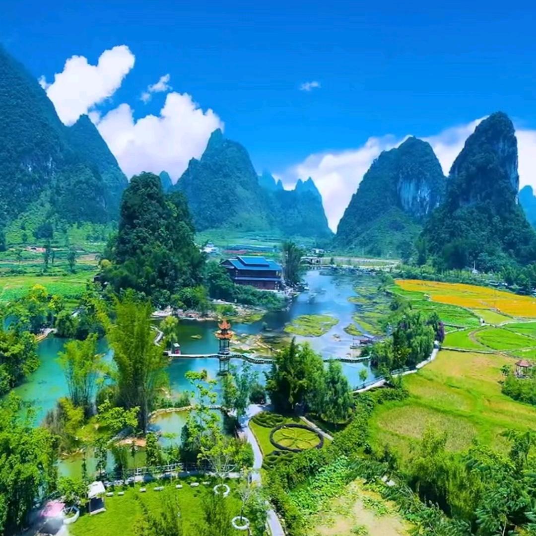 富贵吉祥