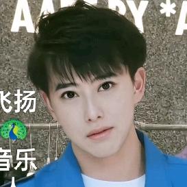 飞扬🦚音乐