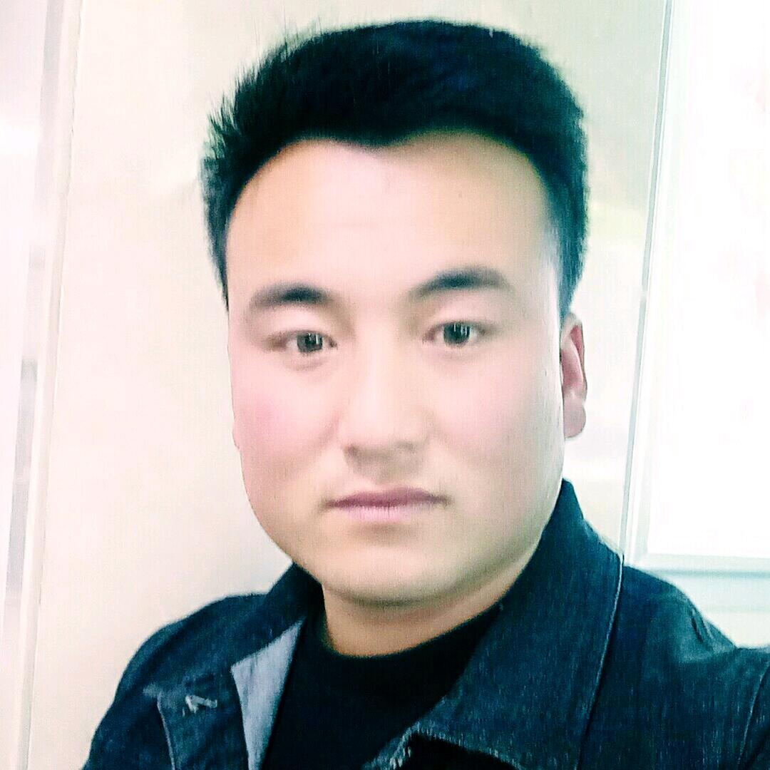 酒泉 小马 羊业
