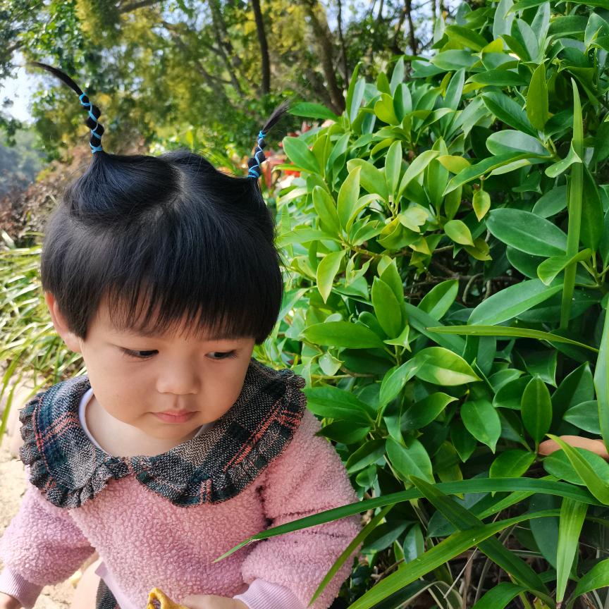 锋妹
