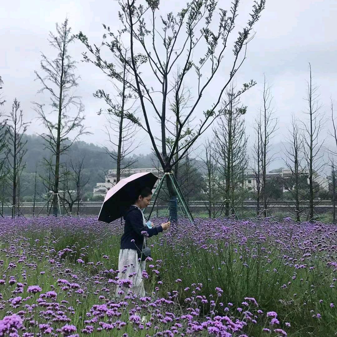用户ꦿ陈心᭄໊꧔ꦿ如意᭄ꦿꪟ