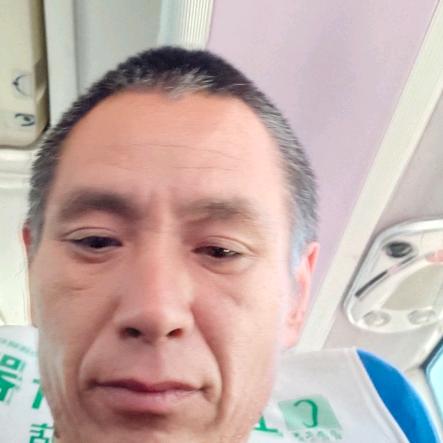 敢闯的人长年收树