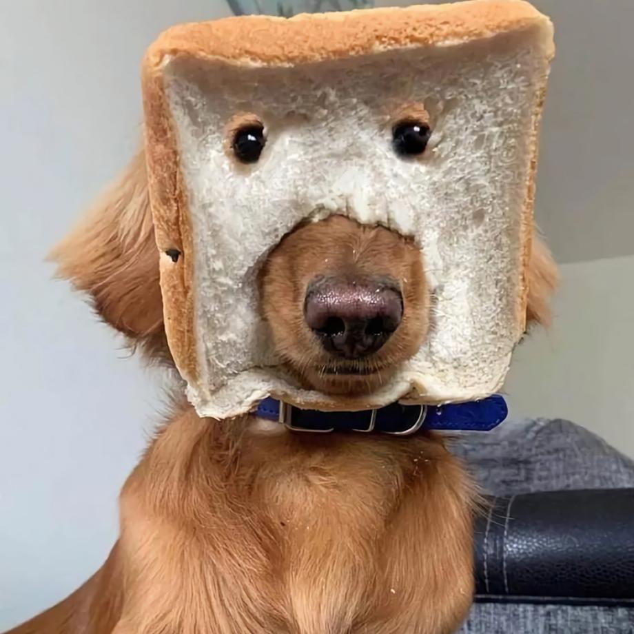 An_