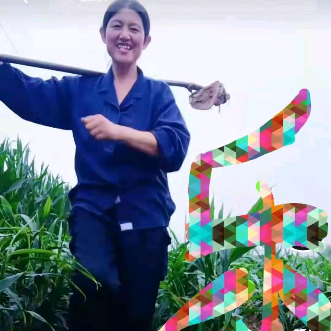 豆芽菜