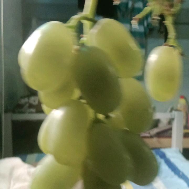 风雨