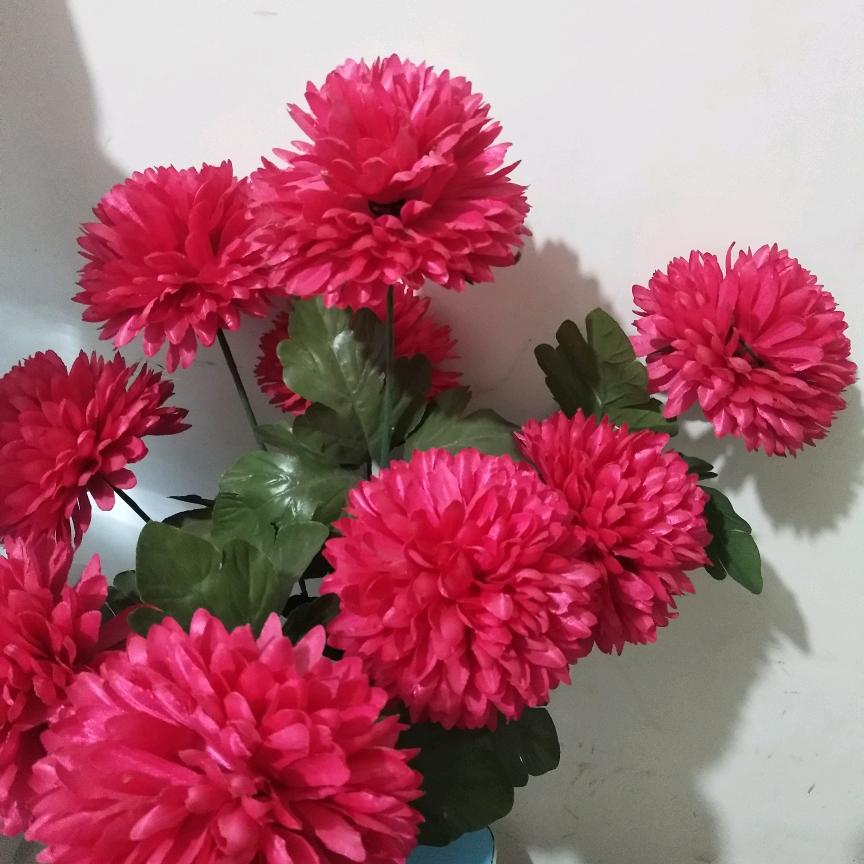 自己才最值得爱，要活得逍遥又自在，皇后