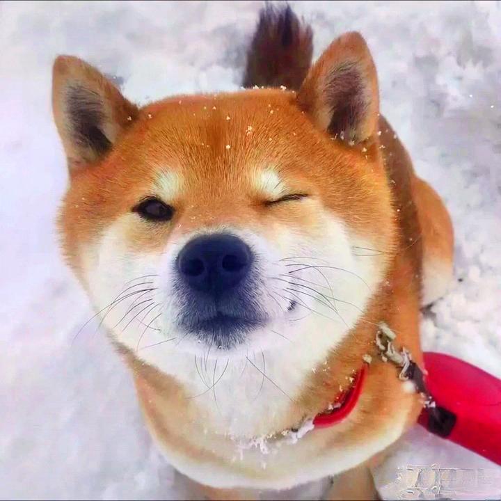 被窝