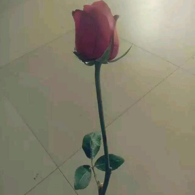 杀死感情，