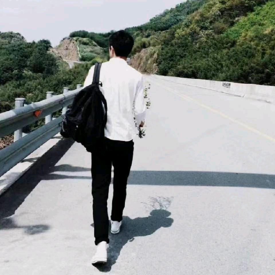 明月皓雪