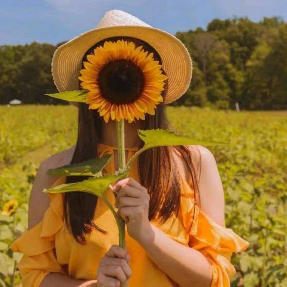🌻木子荣