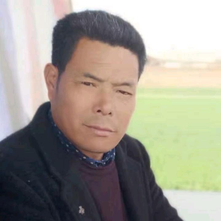 雨中燕