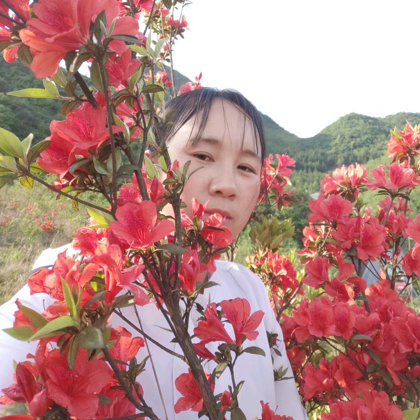 何美