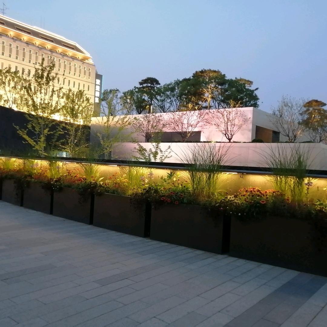 ꫛ᭄刘恋💞星宸ꫛ᭄