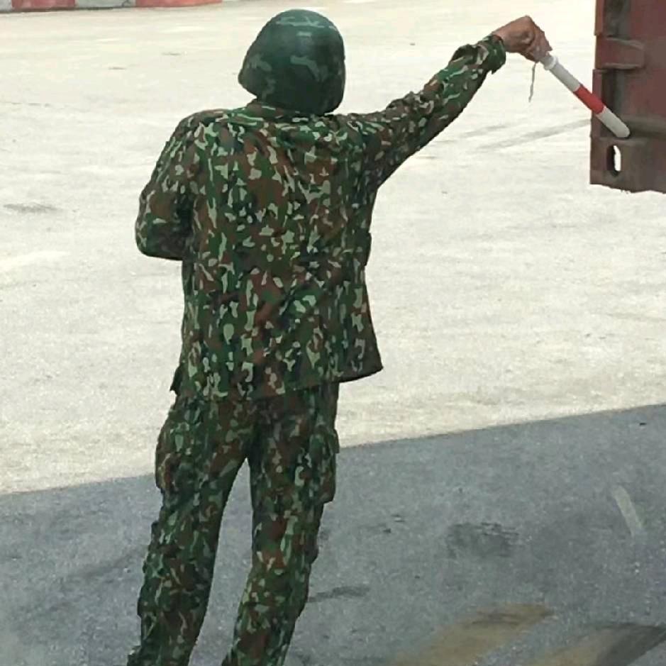 不惧岁月不惧风