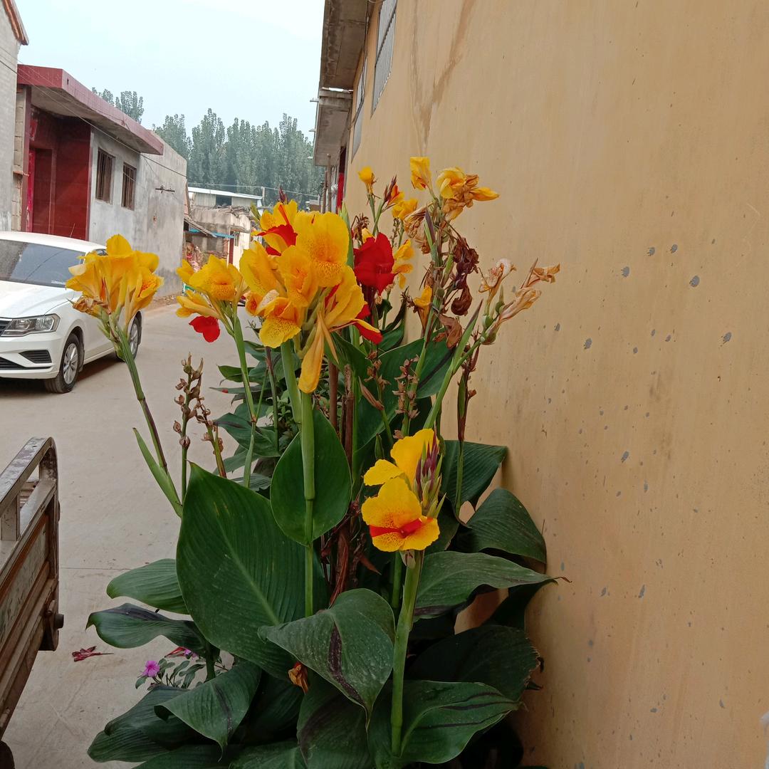 不忘初心，方的始终