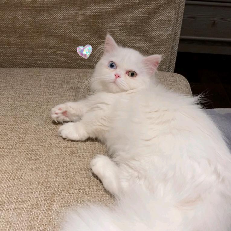 Susan说