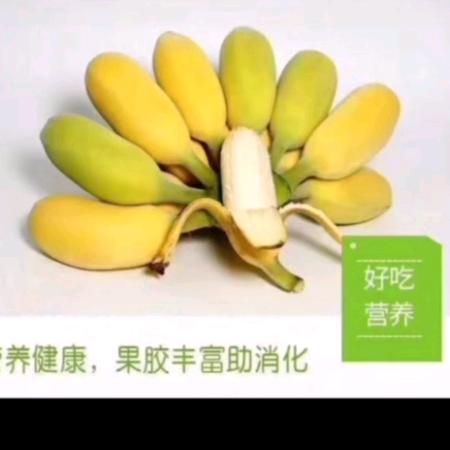 金果园农业贸易有限公司