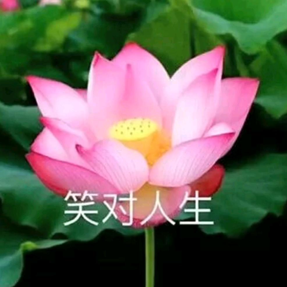 钟大姐