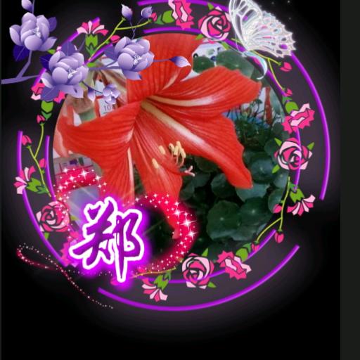 ❤️郑好有你❤️