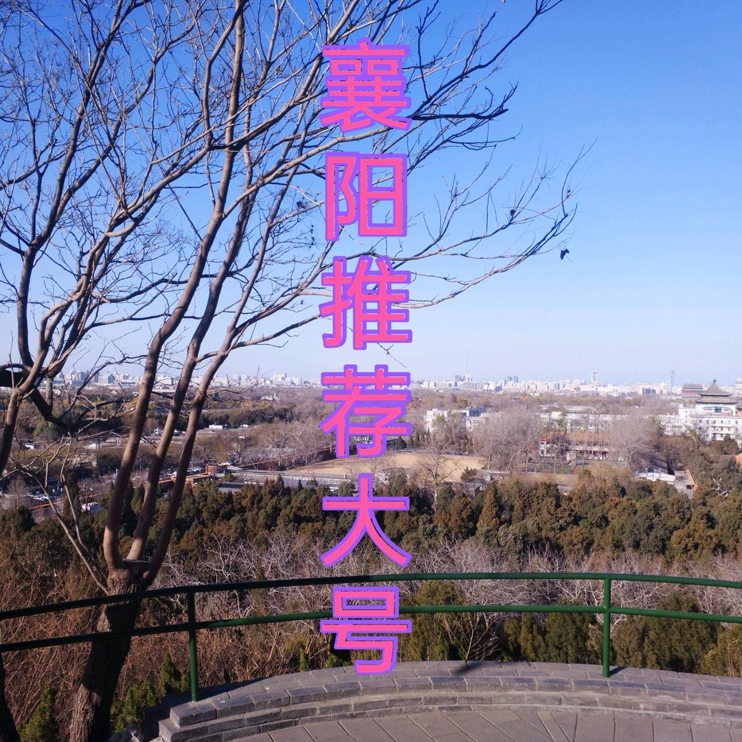 万事通摄影大疆5运动相机直播