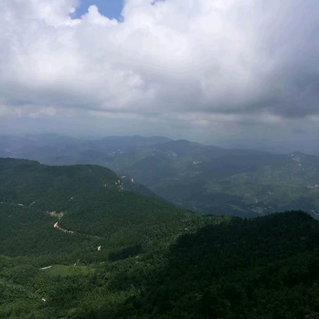 黄州三哥找房