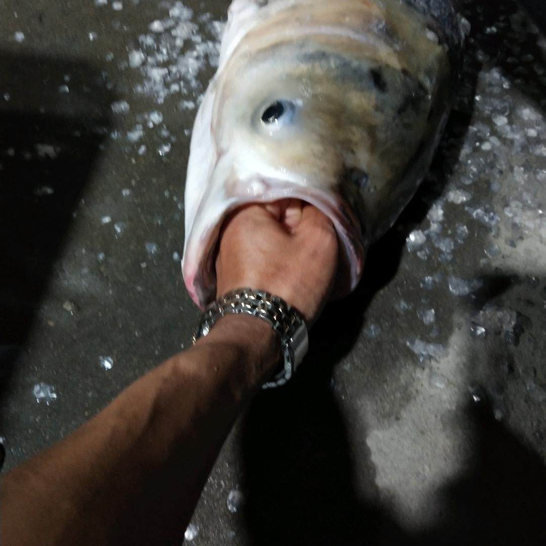 钓客浪特