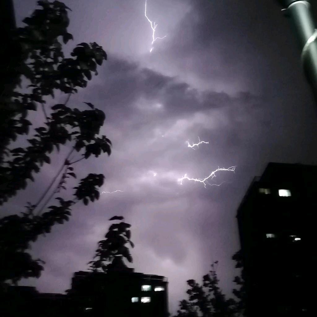 🌝朦呆呆头像