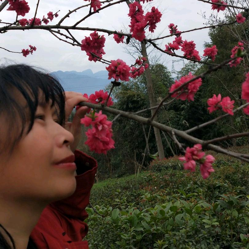 落花