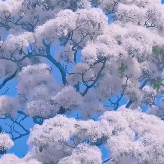 不计较没烦恼