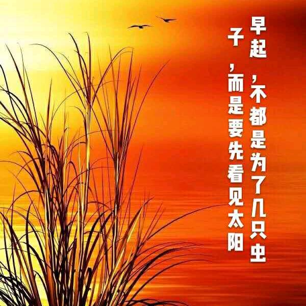 @想着你！