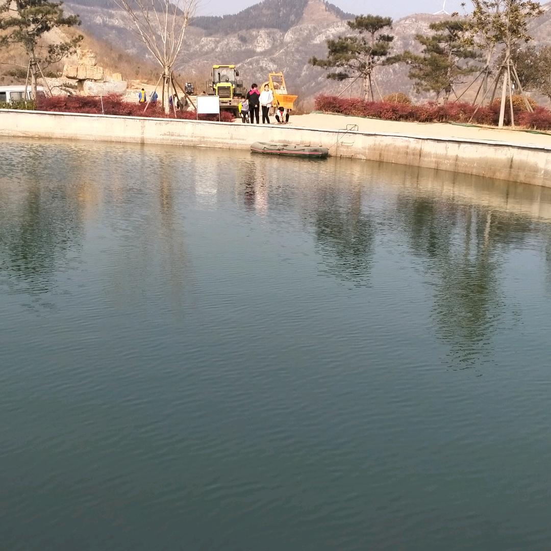 完美人生