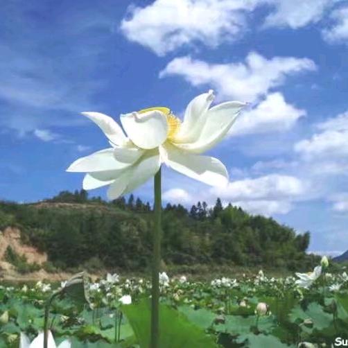 @家有两宝
