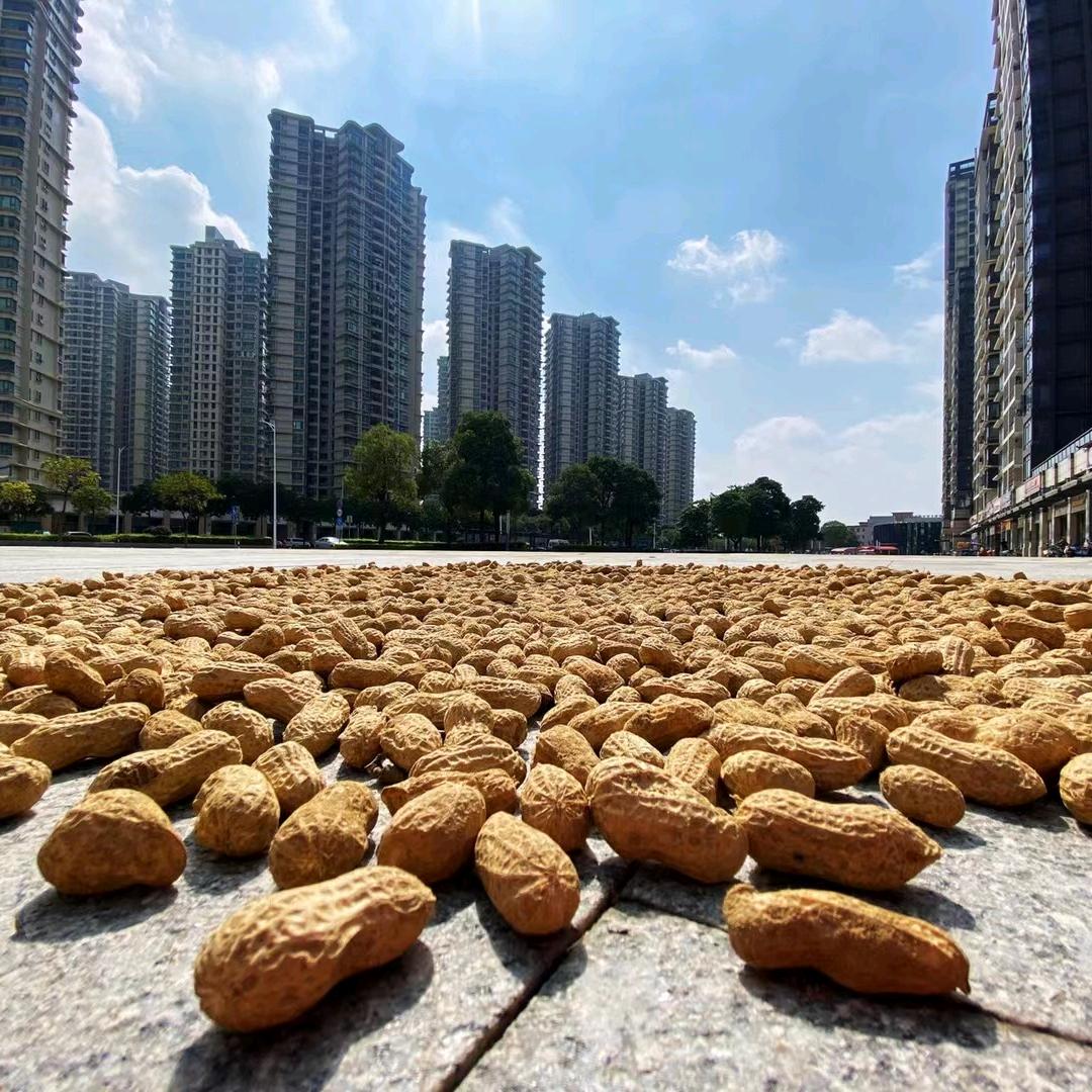 丰品尚家