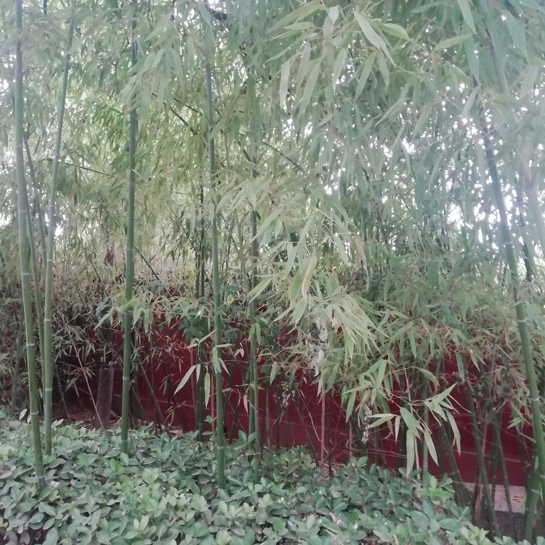 闪烁