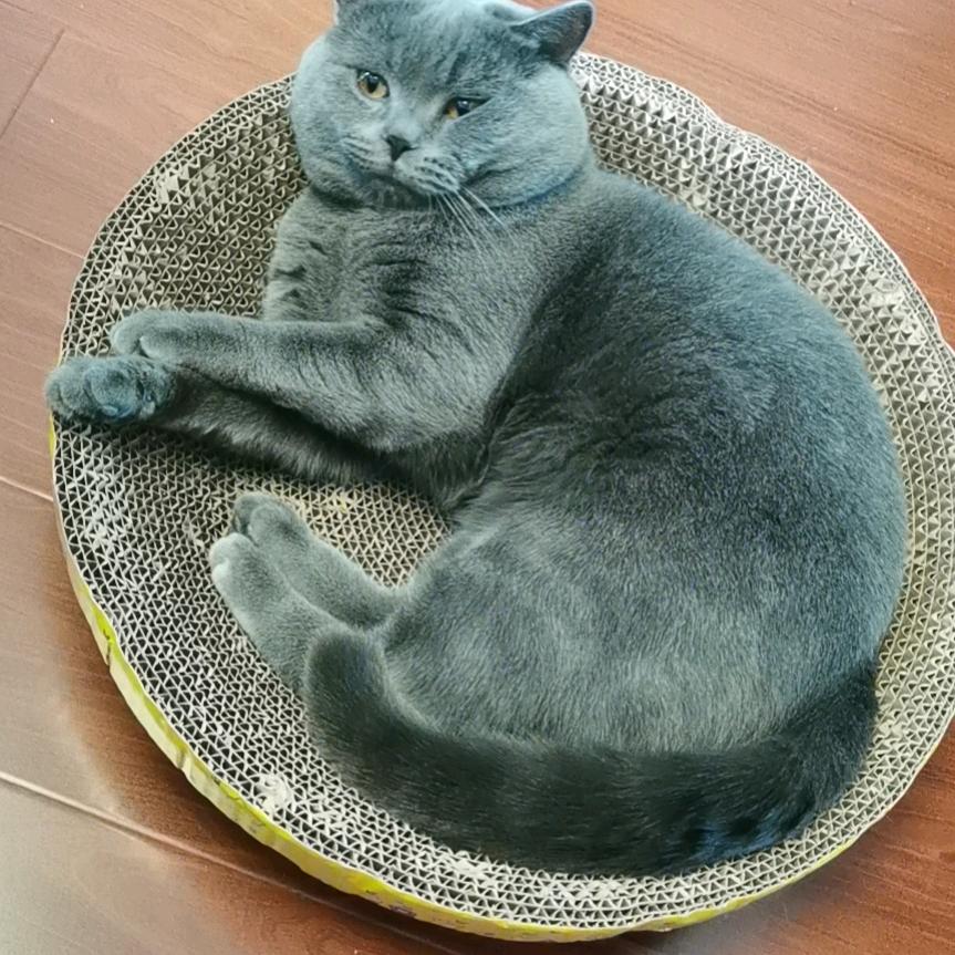 用户风雨兼程