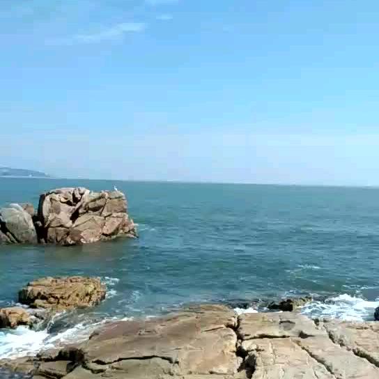 HJⅩLFX黄金万两