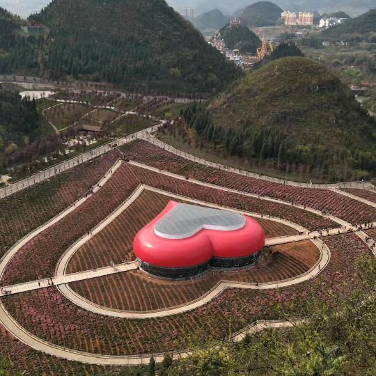 向钱看 向厚赚🌹😃