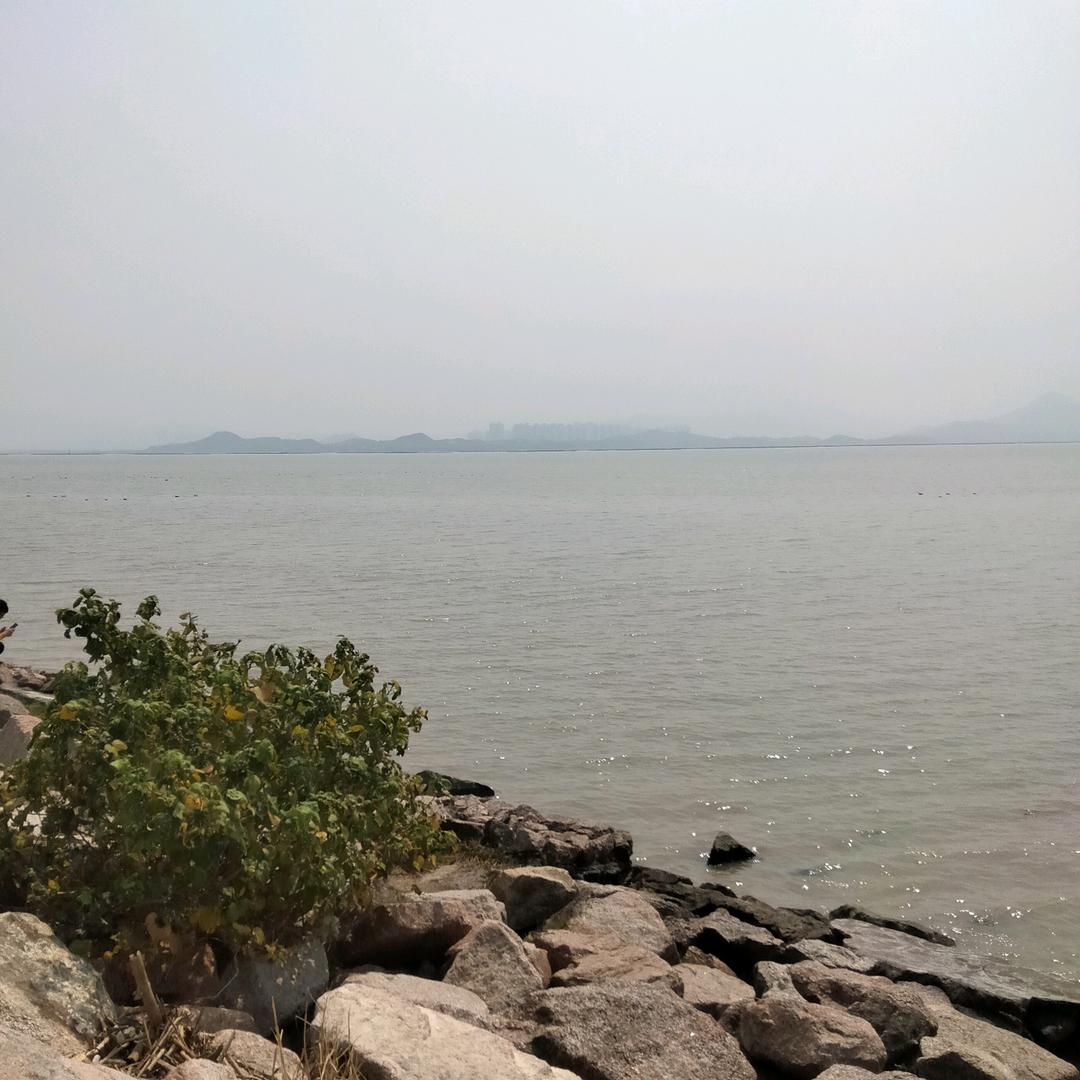 缘来是您