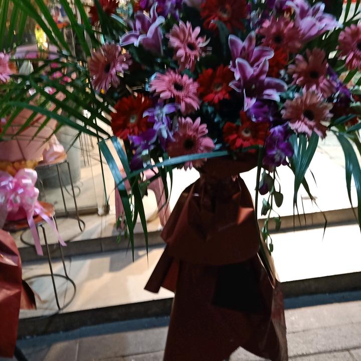 陈姐姐