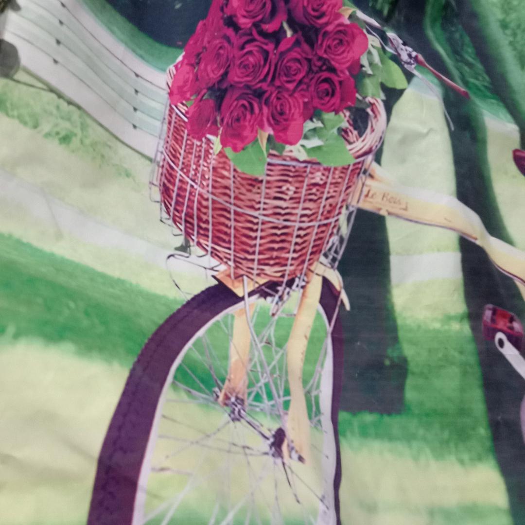 自由自在