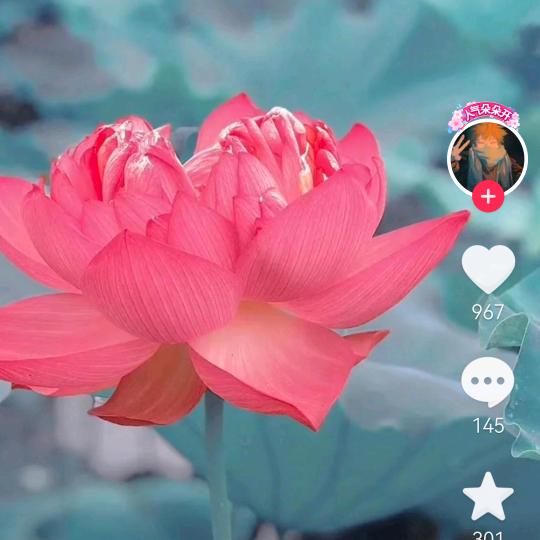 花开时候